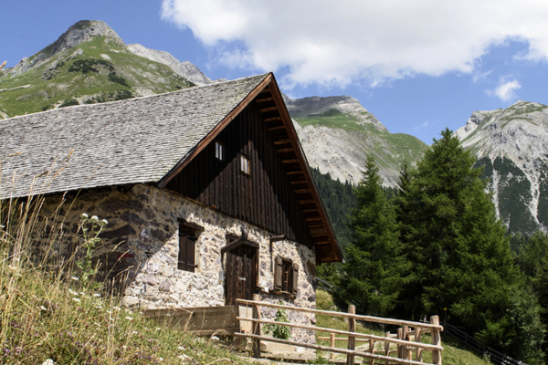 Nessler Alm Nessler Alm